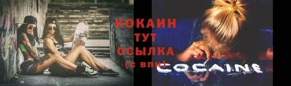 spice Вязьма