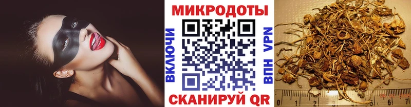 дарнет шоп Подольск Галлюциногенные грибы Psilocybine cubensis